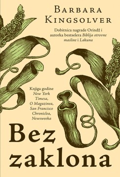 Bez zaklona Barbara Kingsolver Drama