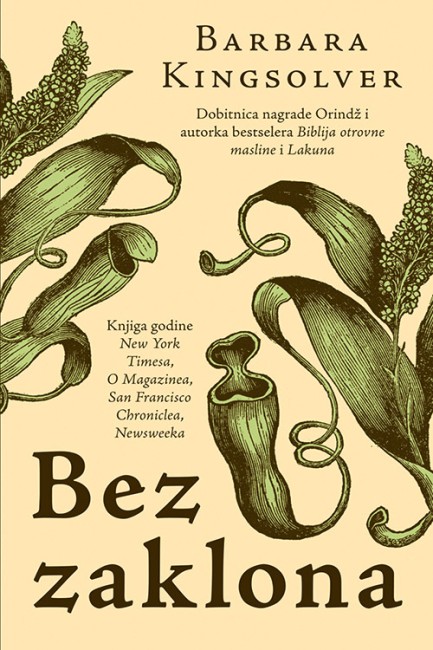 Bez zaklona Barbara Kingsolver Drama