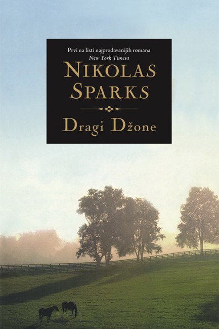 Dragi Džone Nikolas Sparks Film